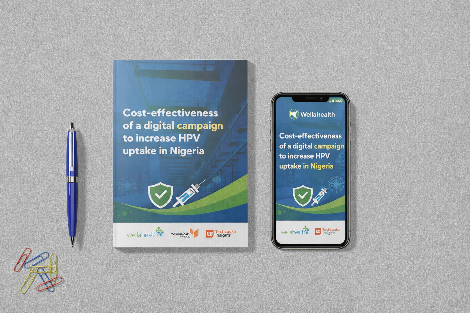 State of States' Health Insurance in Nigeria Mockup